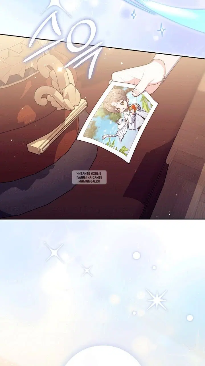 Page 51.000