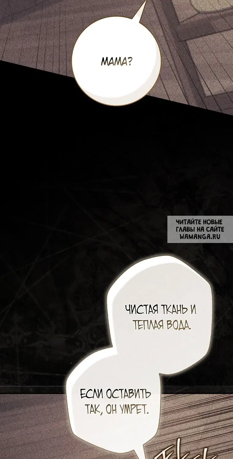 Page 61.000
