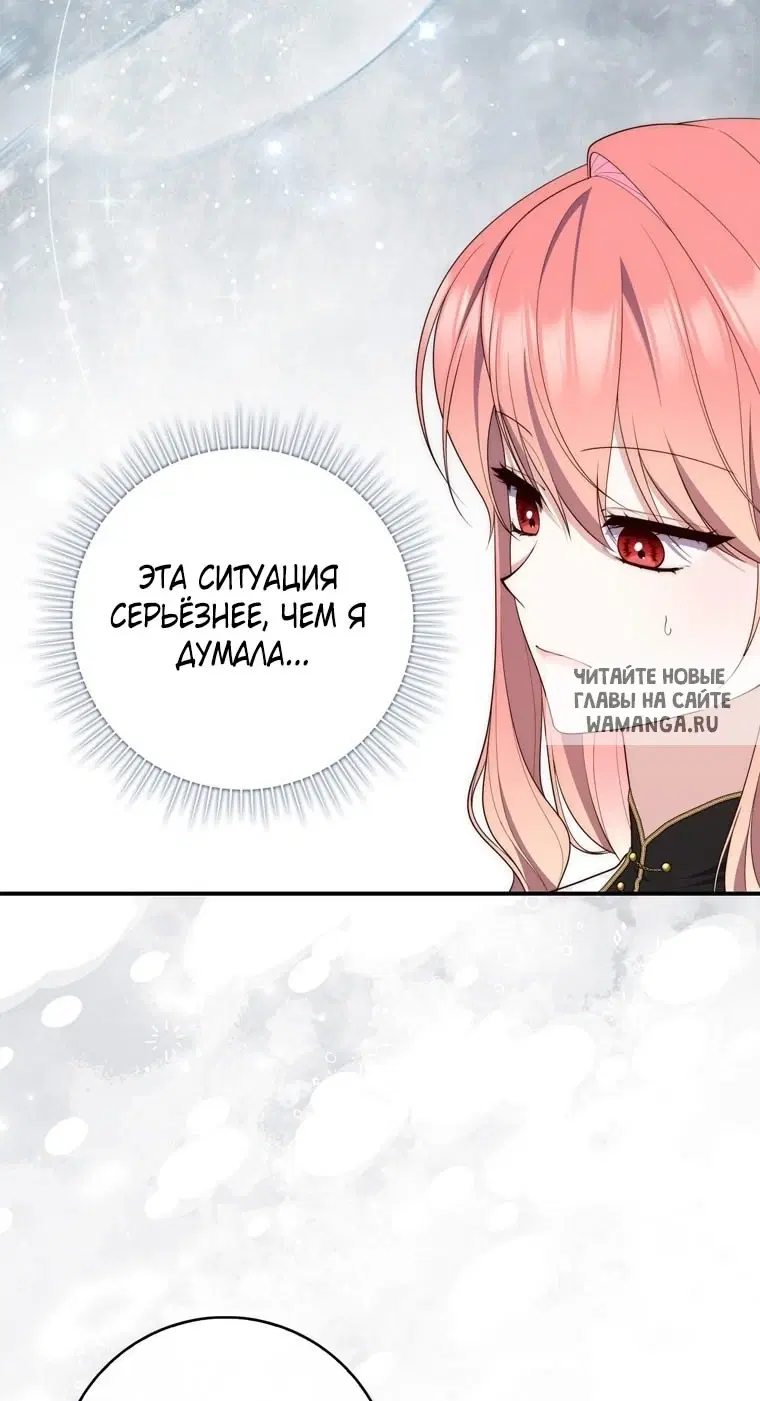 Page 81.000