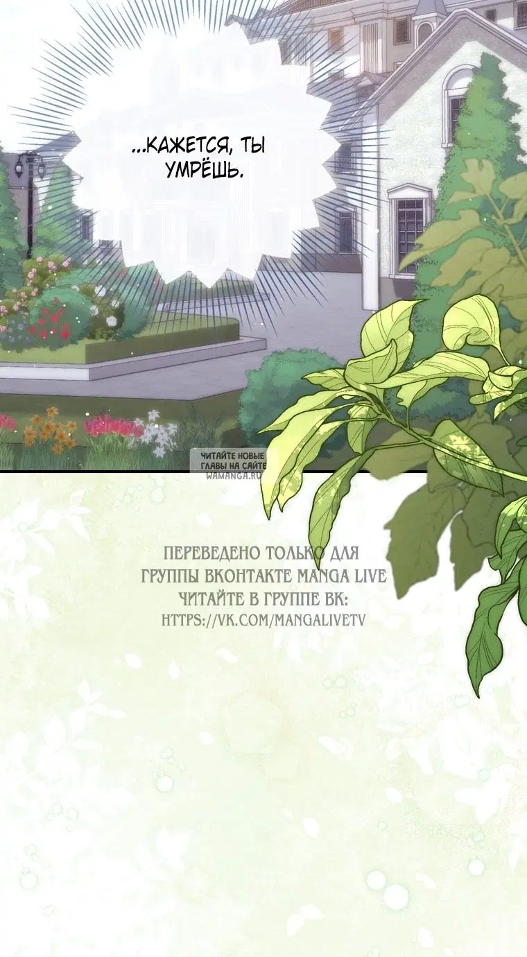 Page 82.000