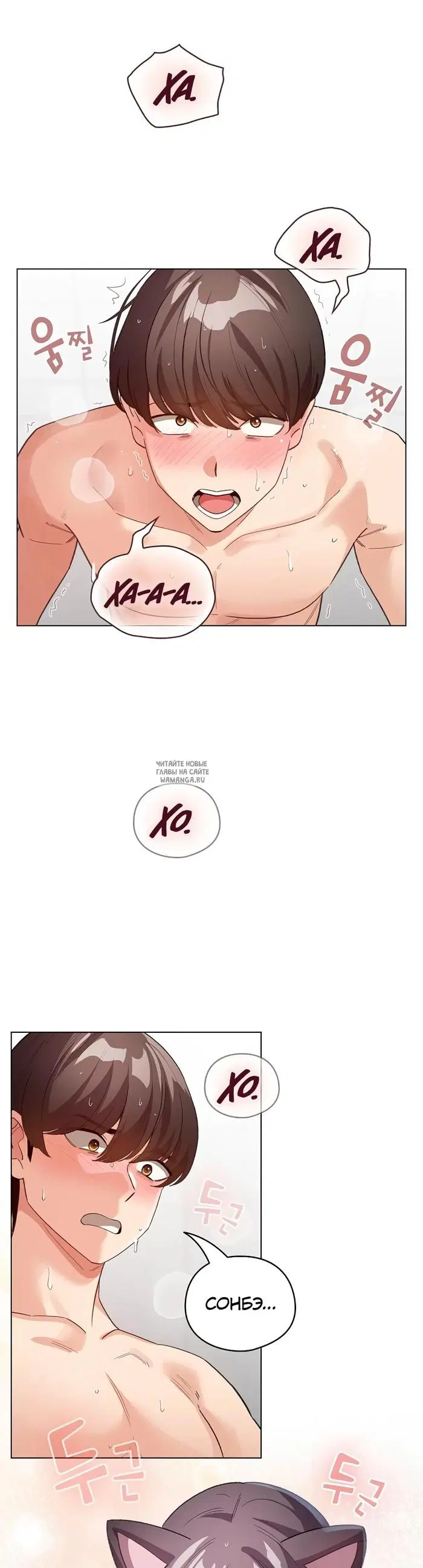 Page 25.000