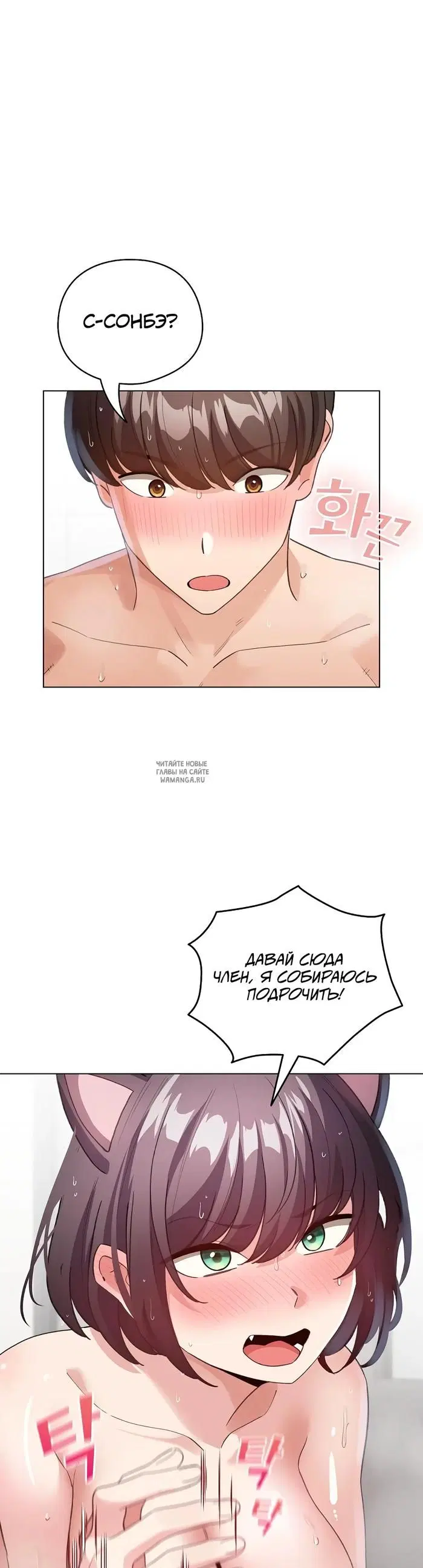Page 36.000
