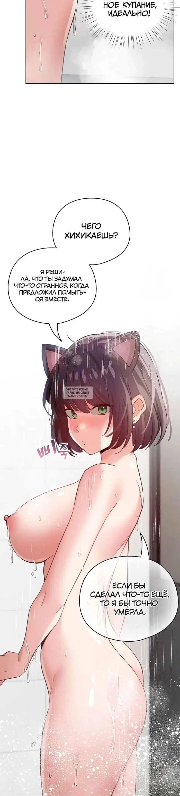 Page 31.000