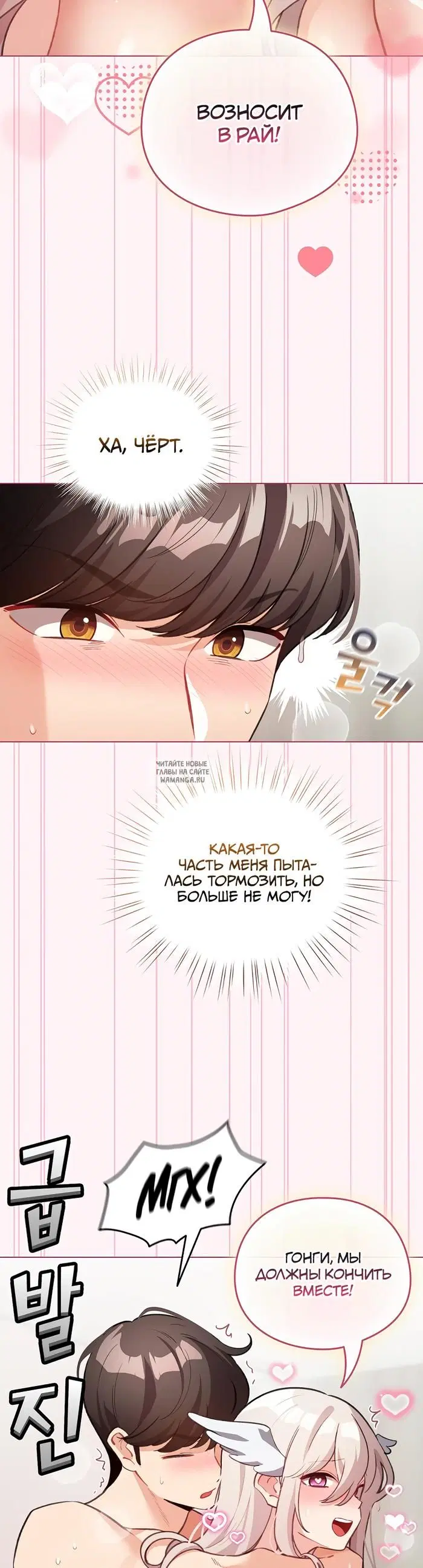 Page 40.000