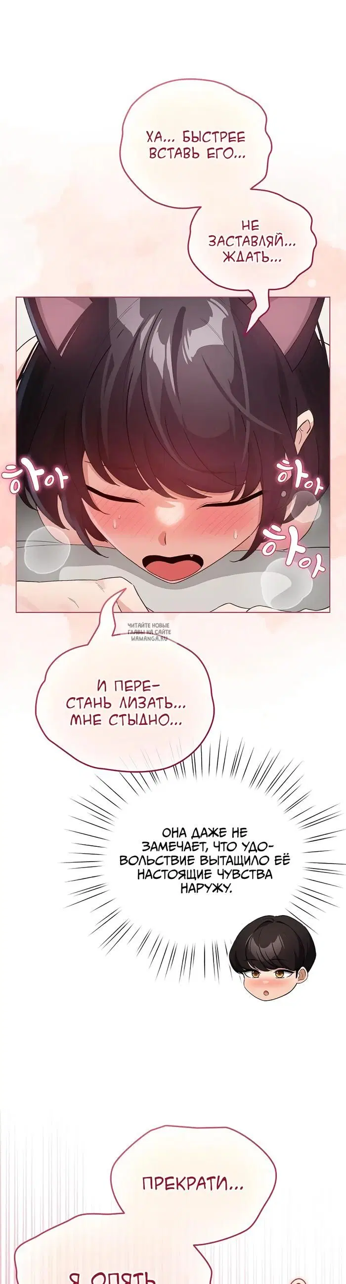 Page 41.000