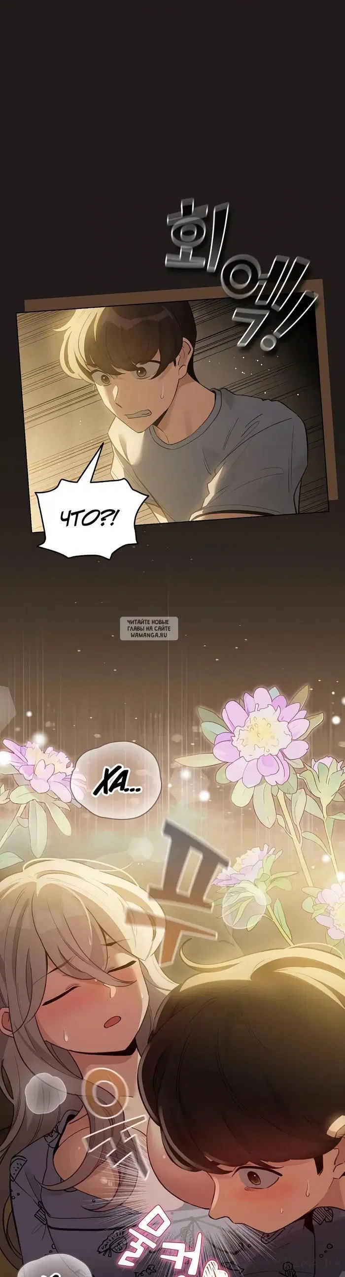 Page 41.000