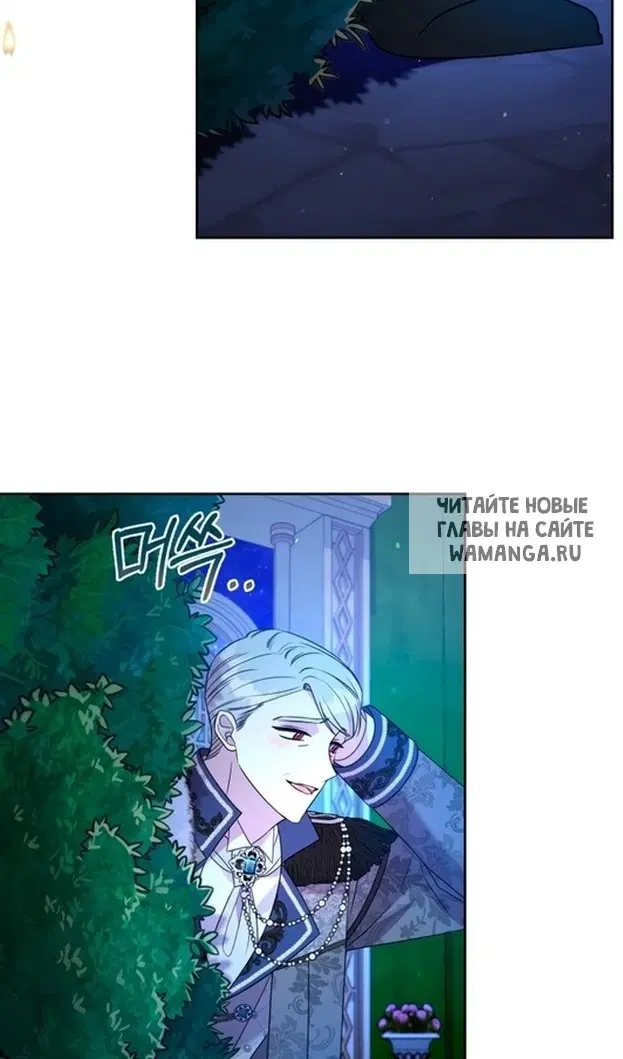 Page 61.000