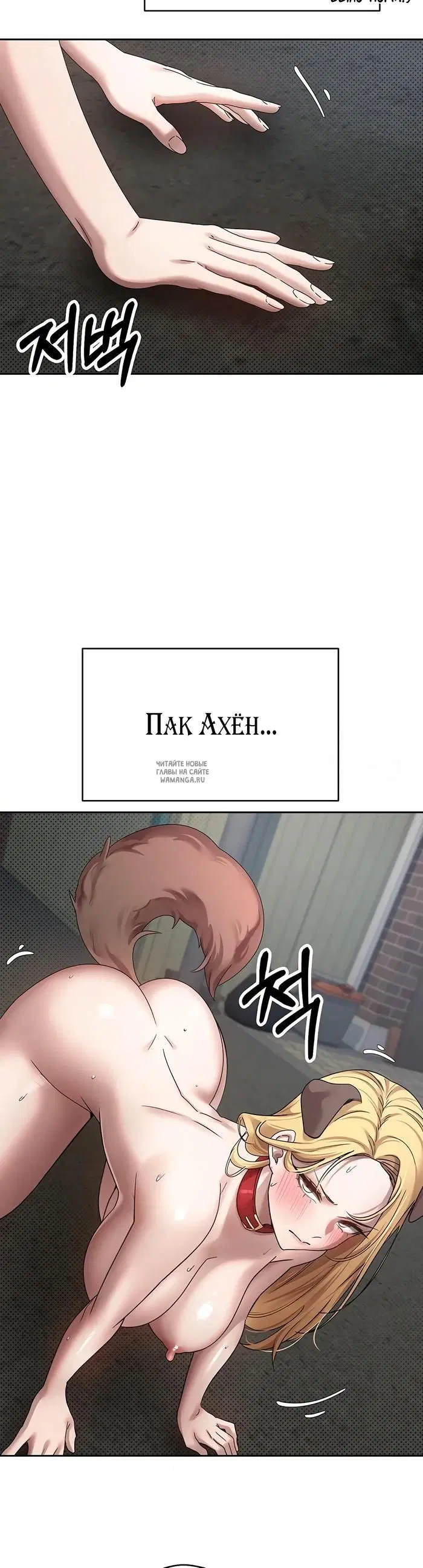 Page 41.000