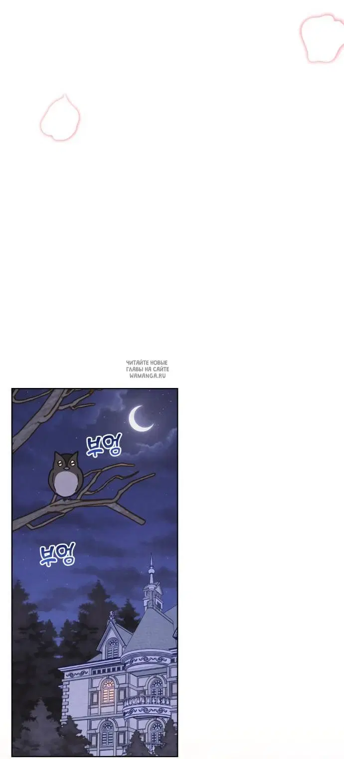 Page 36.000