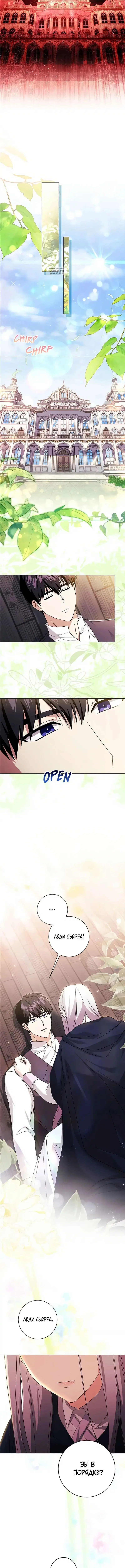 Page 6.001