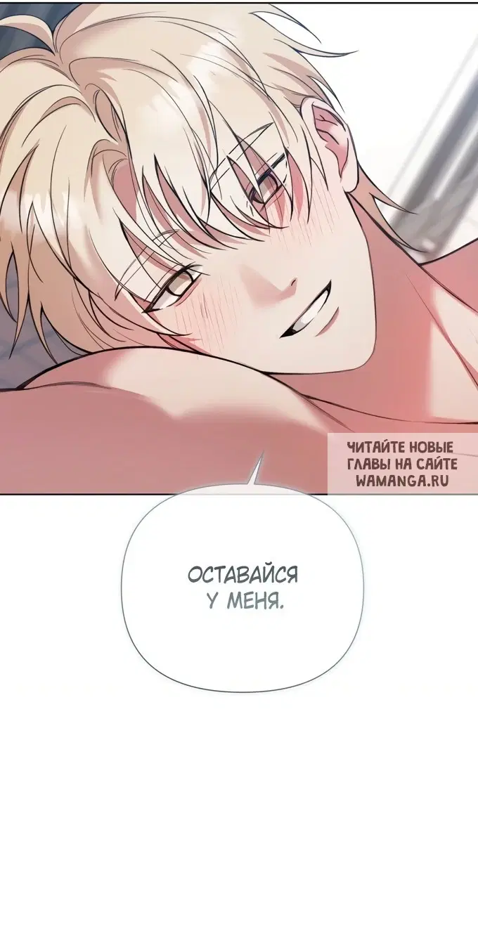 Page 51.000