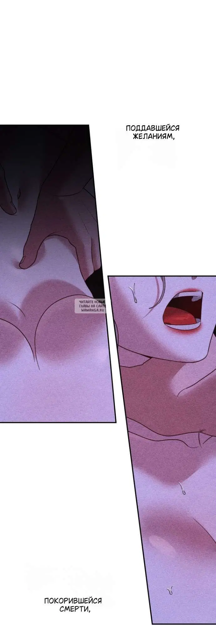 Page 33.000