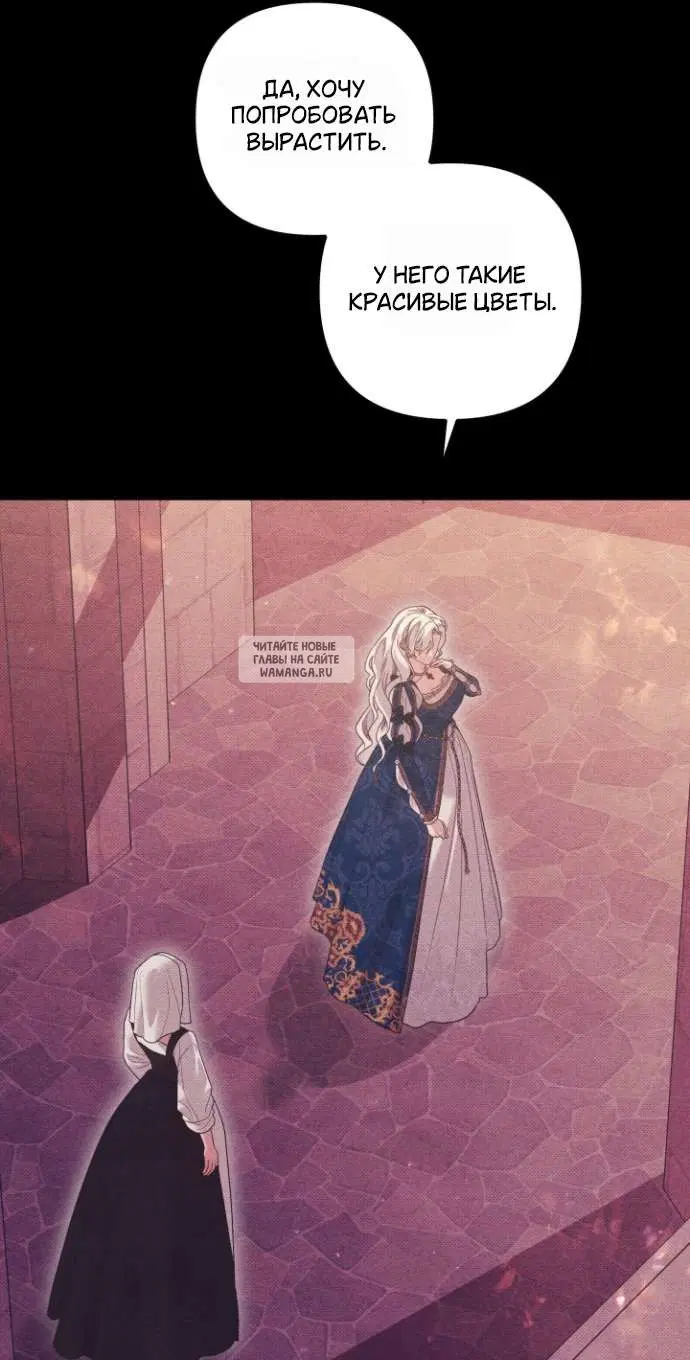 Page 55.000