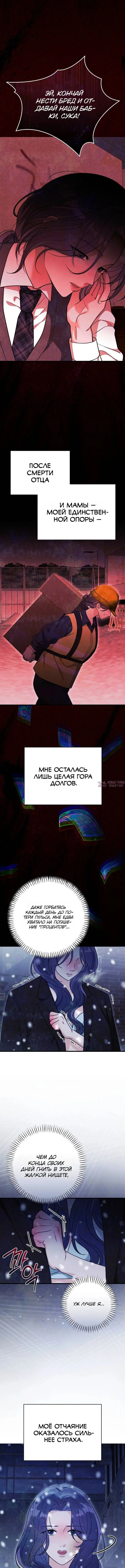 «Одержимость беременностью», глава 2, страница 5.000000000