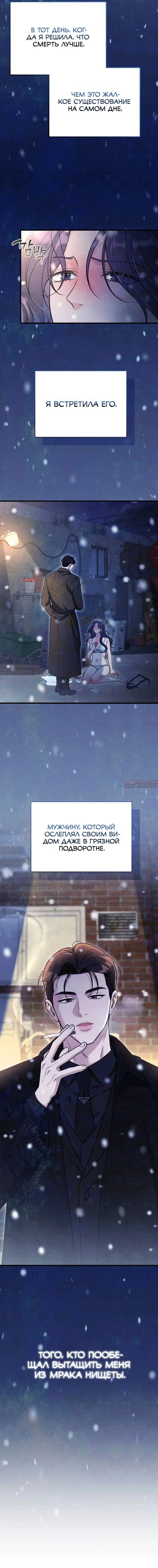 «Одержимость беременностью», глава 2, страница 2.001000000
