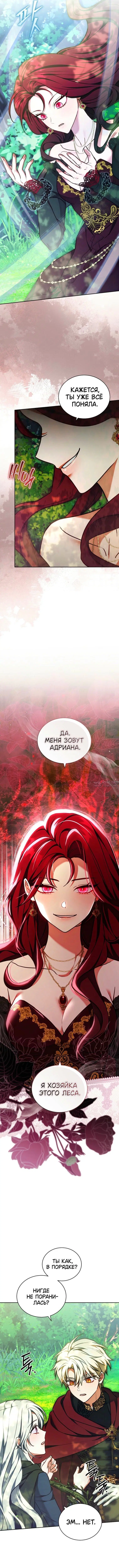 «Леди сталкер», глава 43, страница 7.000000000