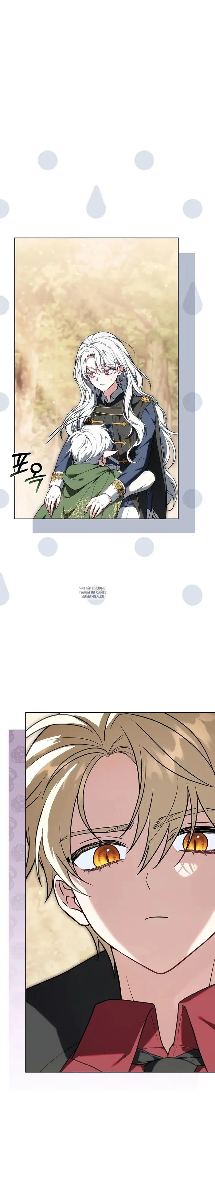 Page 36.000