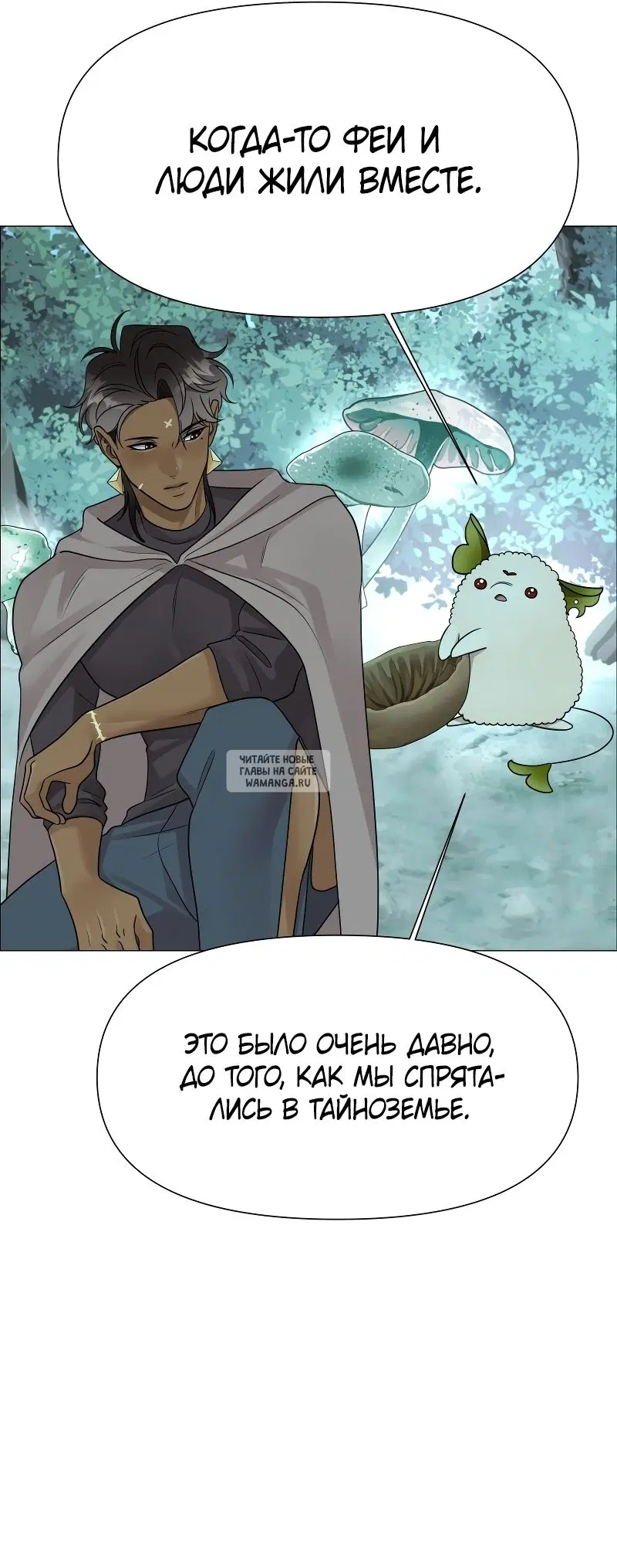 Page 36.000