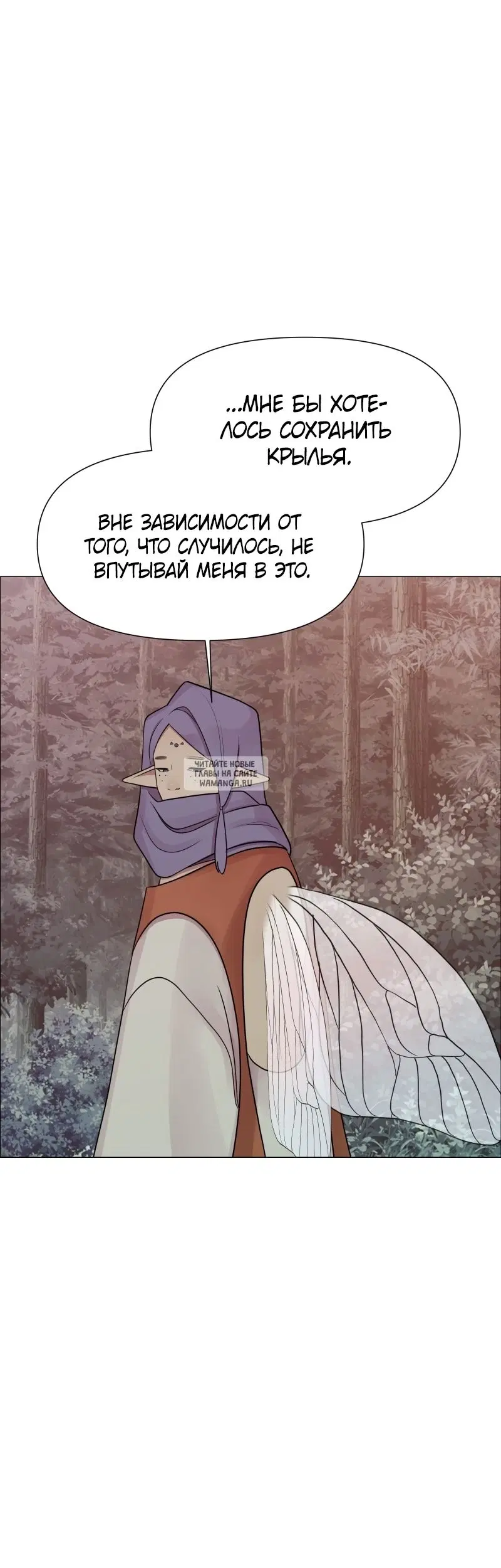 Page 31.000