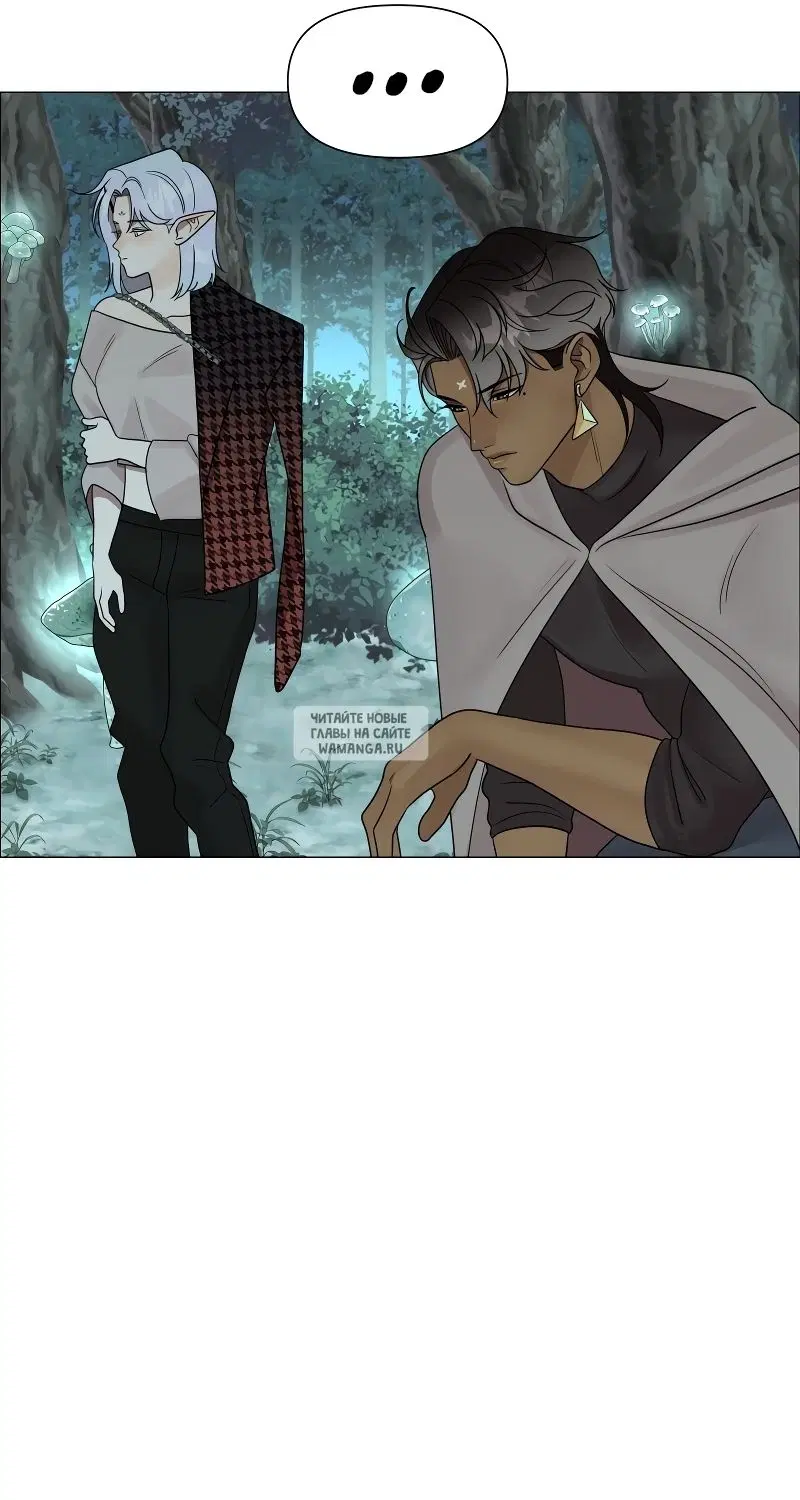 Page 31.000