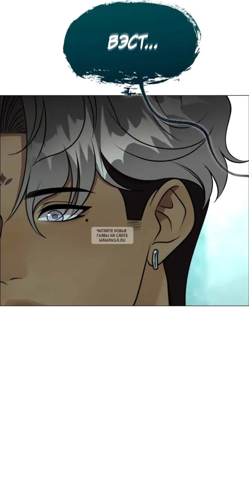Page 31.000