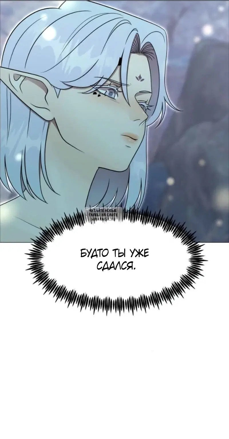 Page 40.000
