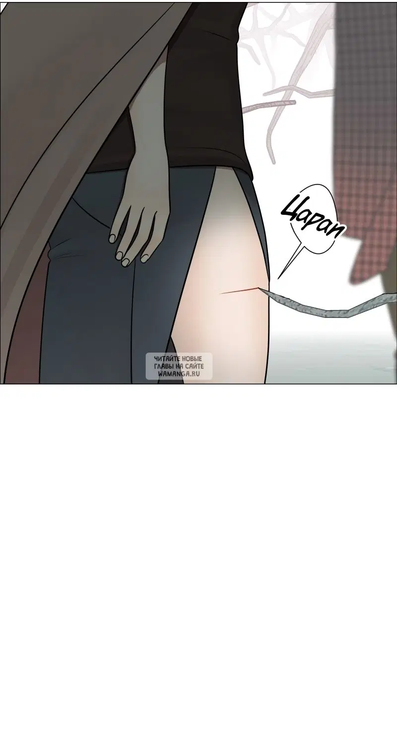 Page 41.000