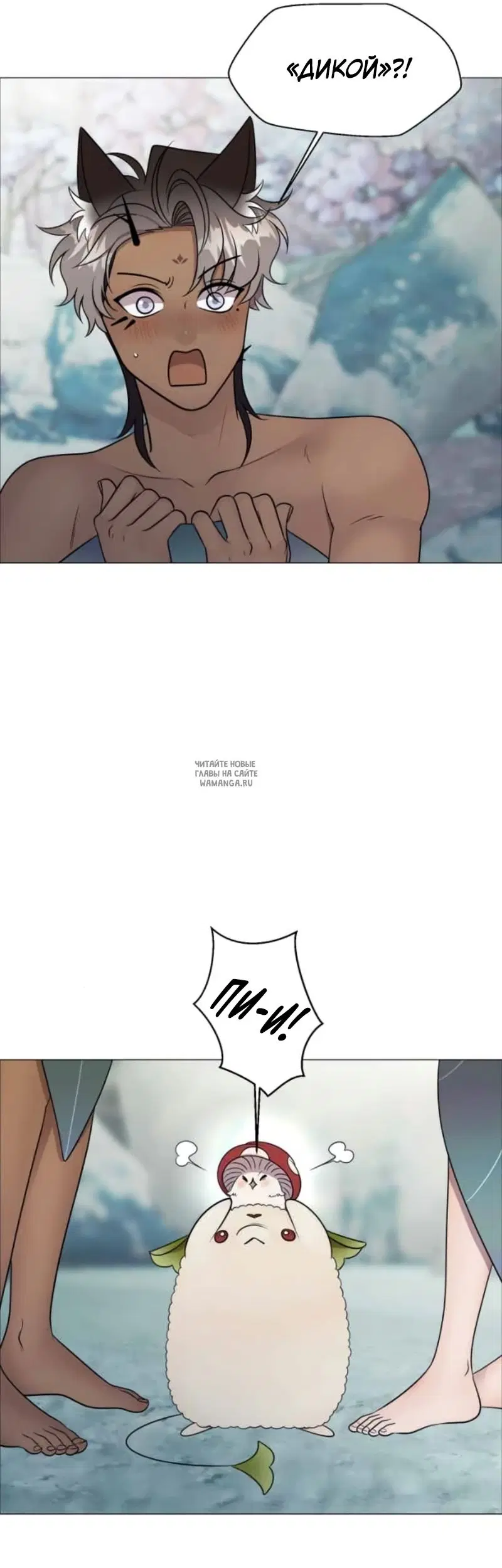 Page 43.000