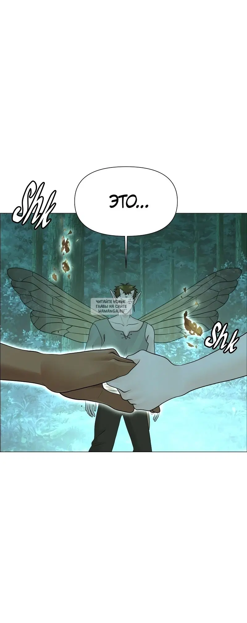 Page 55.000