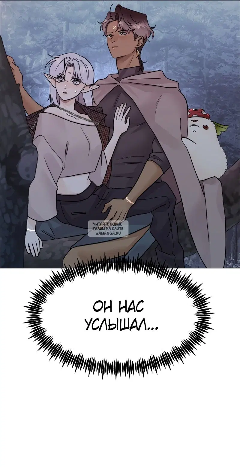 Page 50.000