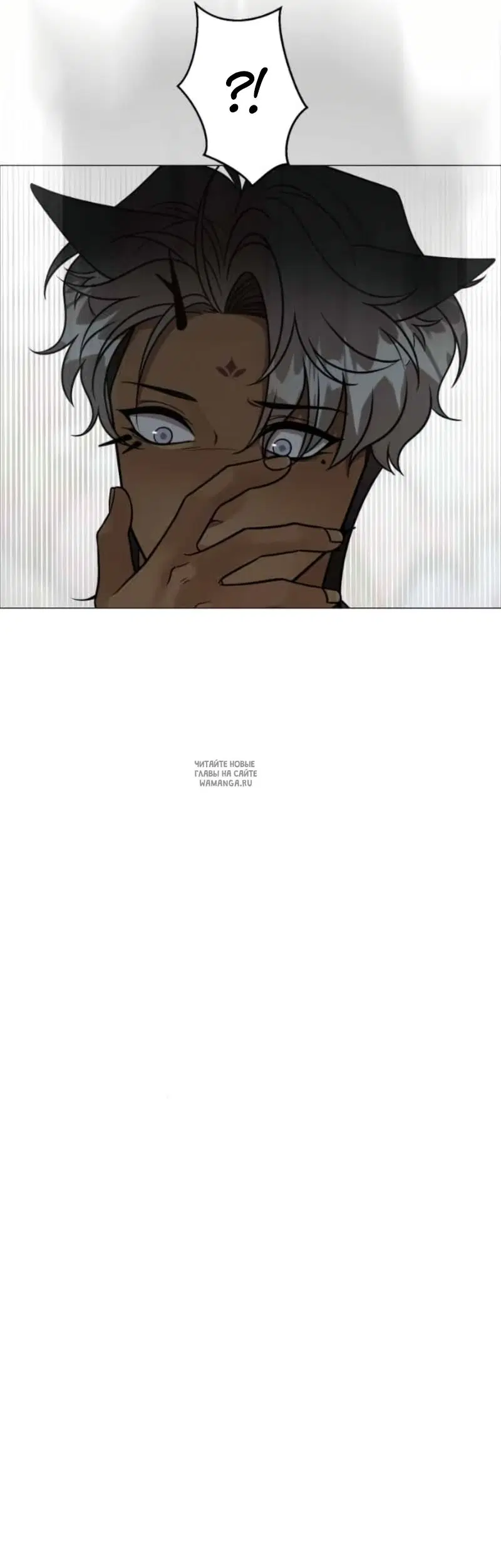 Page 50.000