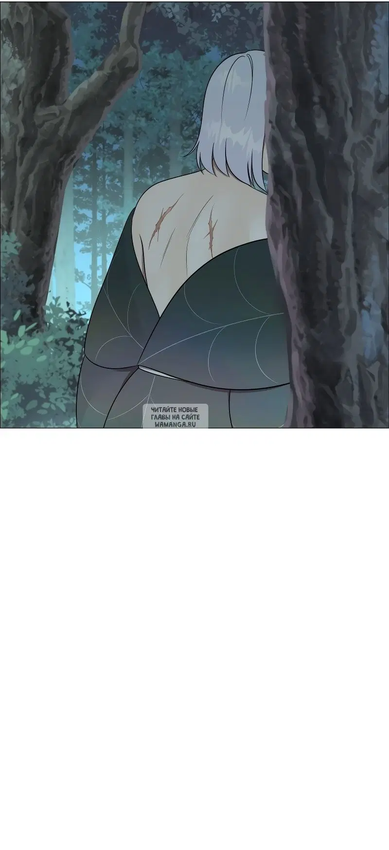 Page 51.000