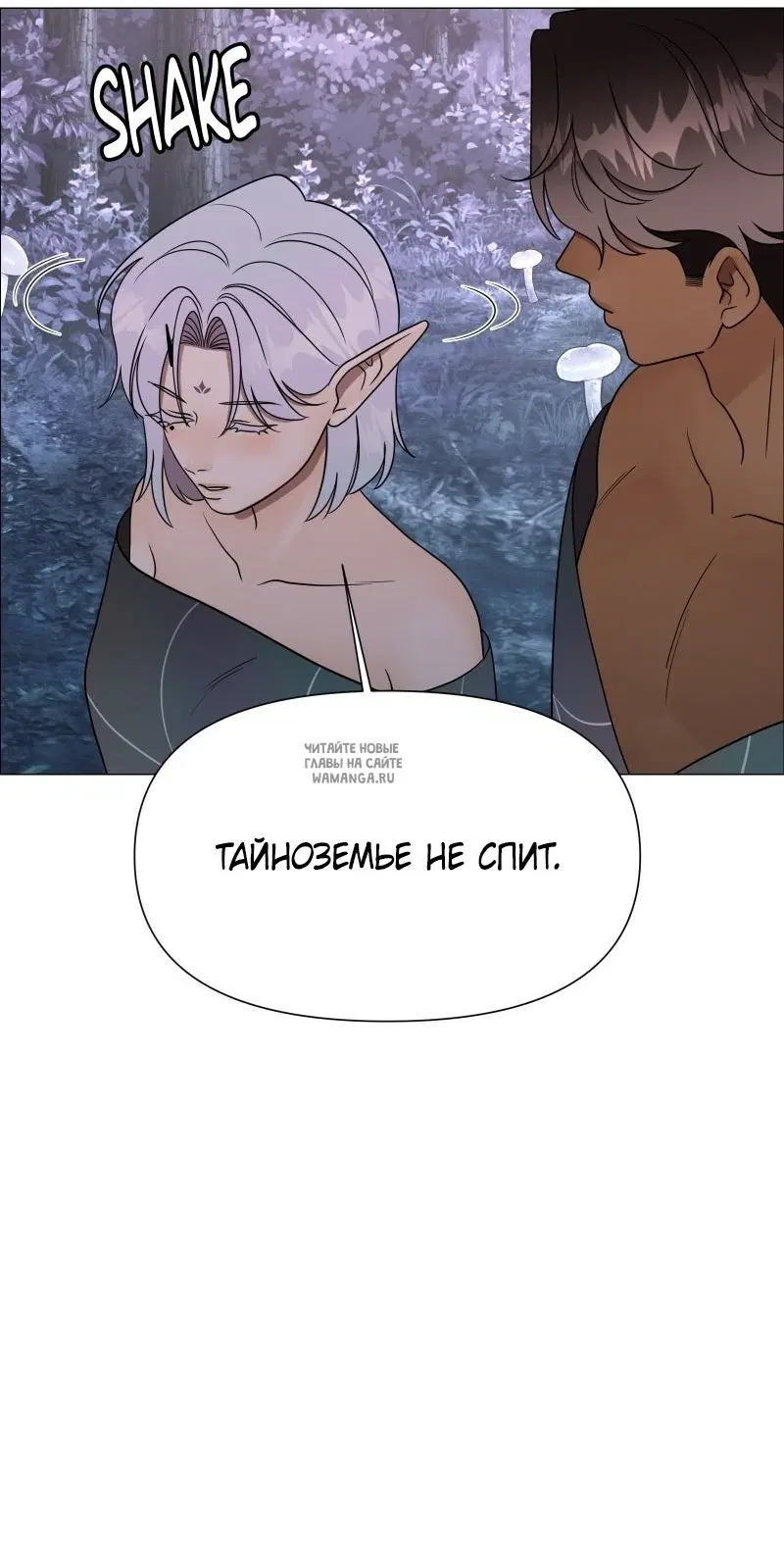 Page 51.000