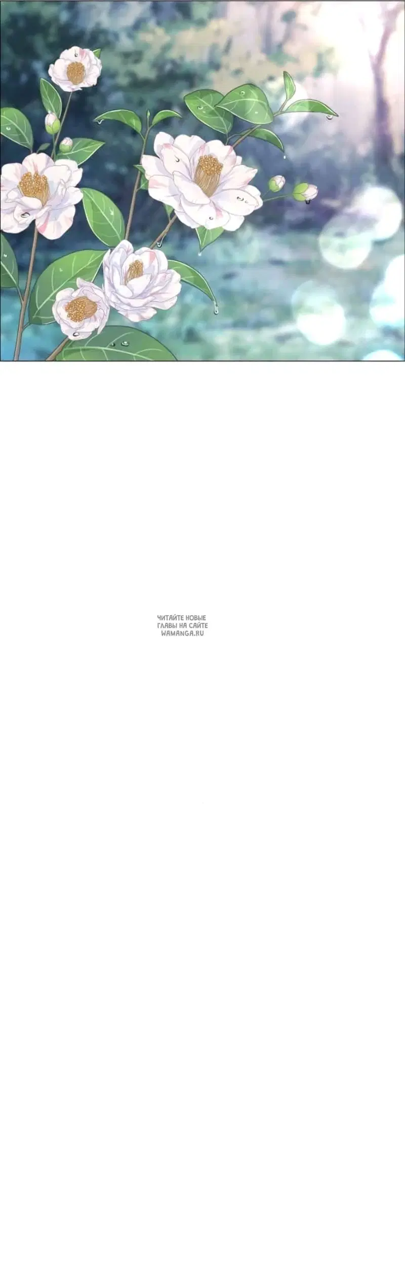 Page 52.000