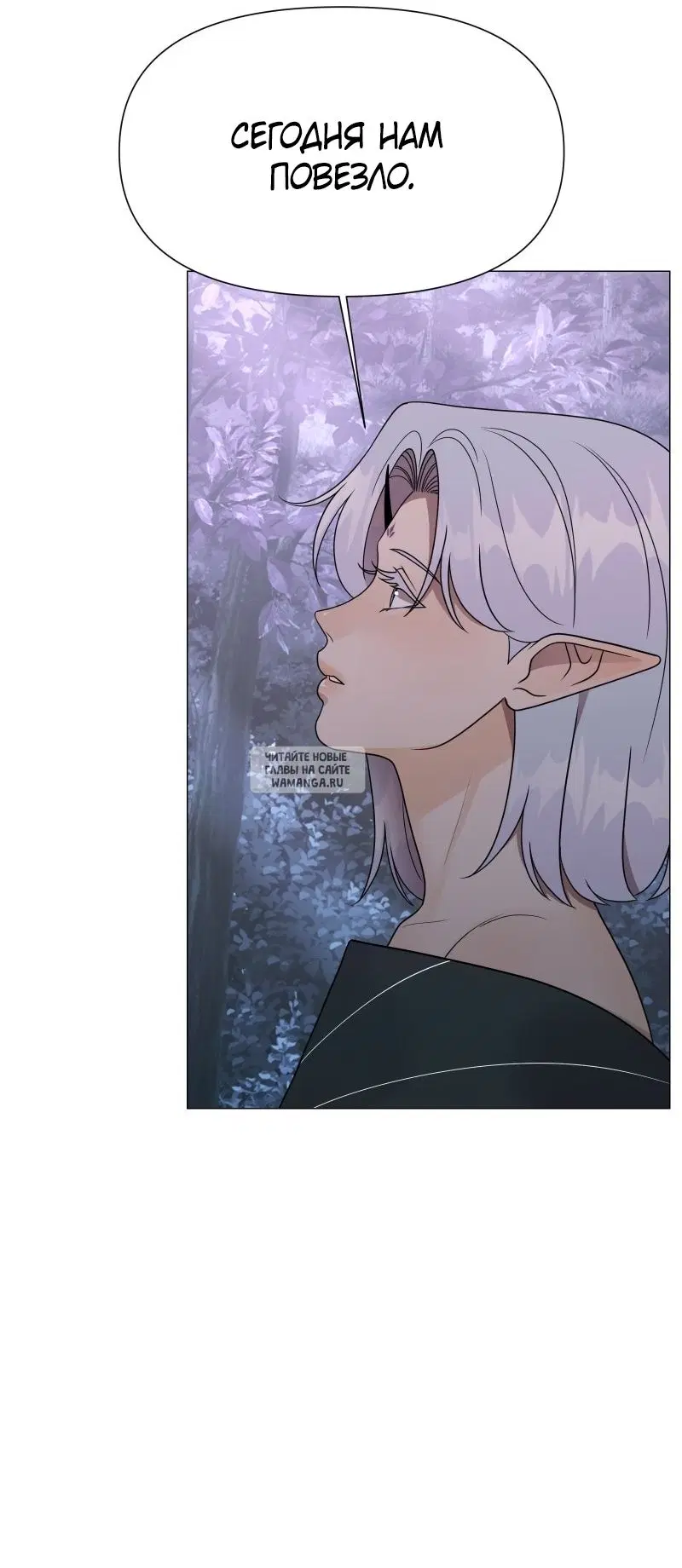 Page 53.000