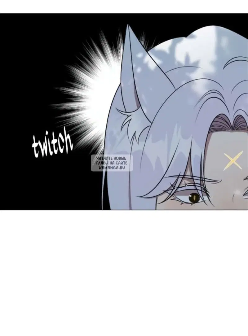 Page 53.000