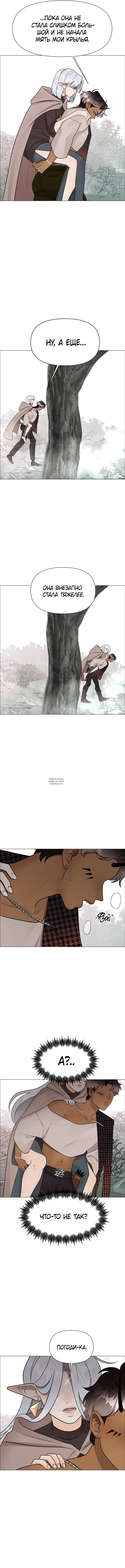 Page 8.000