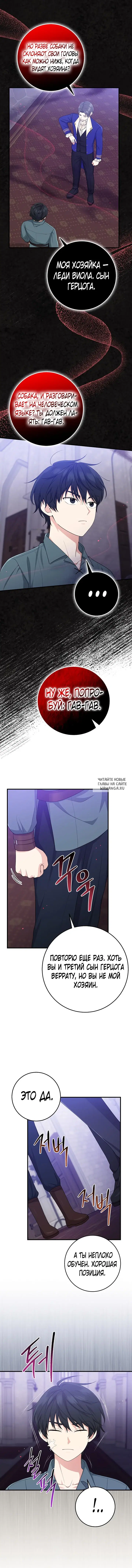 Page 9.000