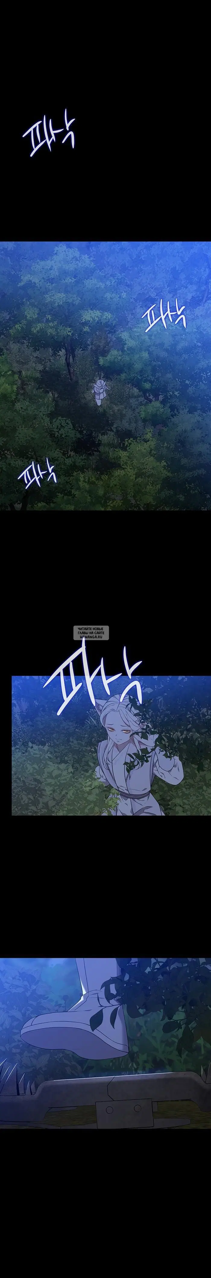 Page 16.000