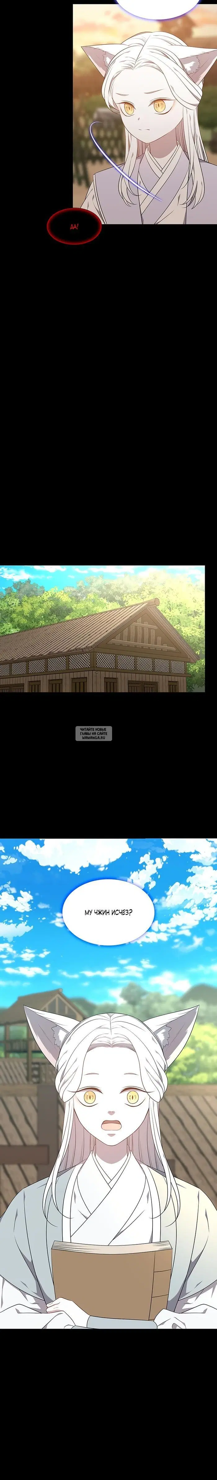 Page 11.000