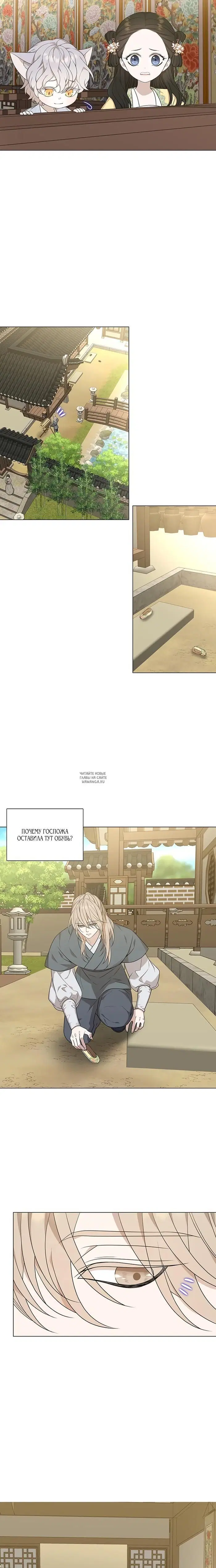 Page 11.000