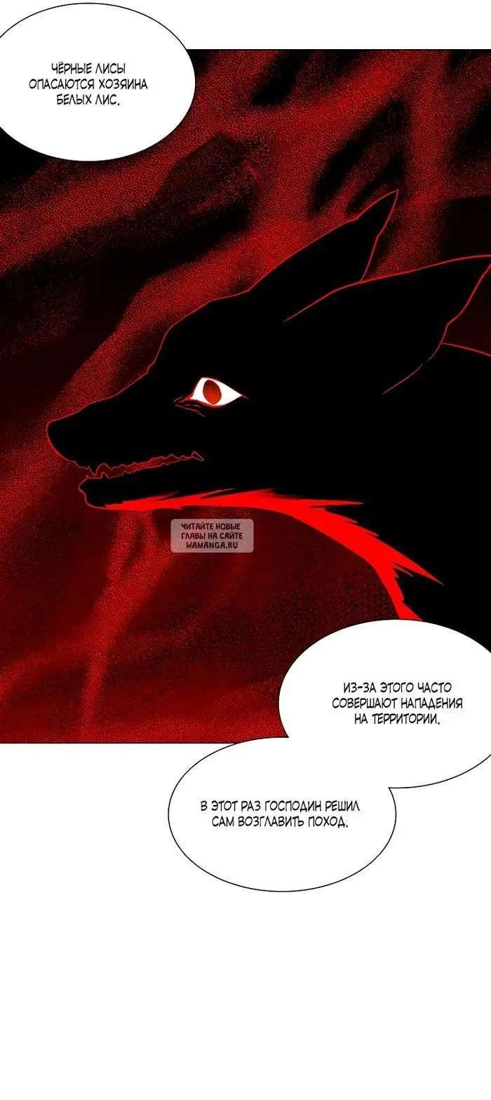 Page 21.000