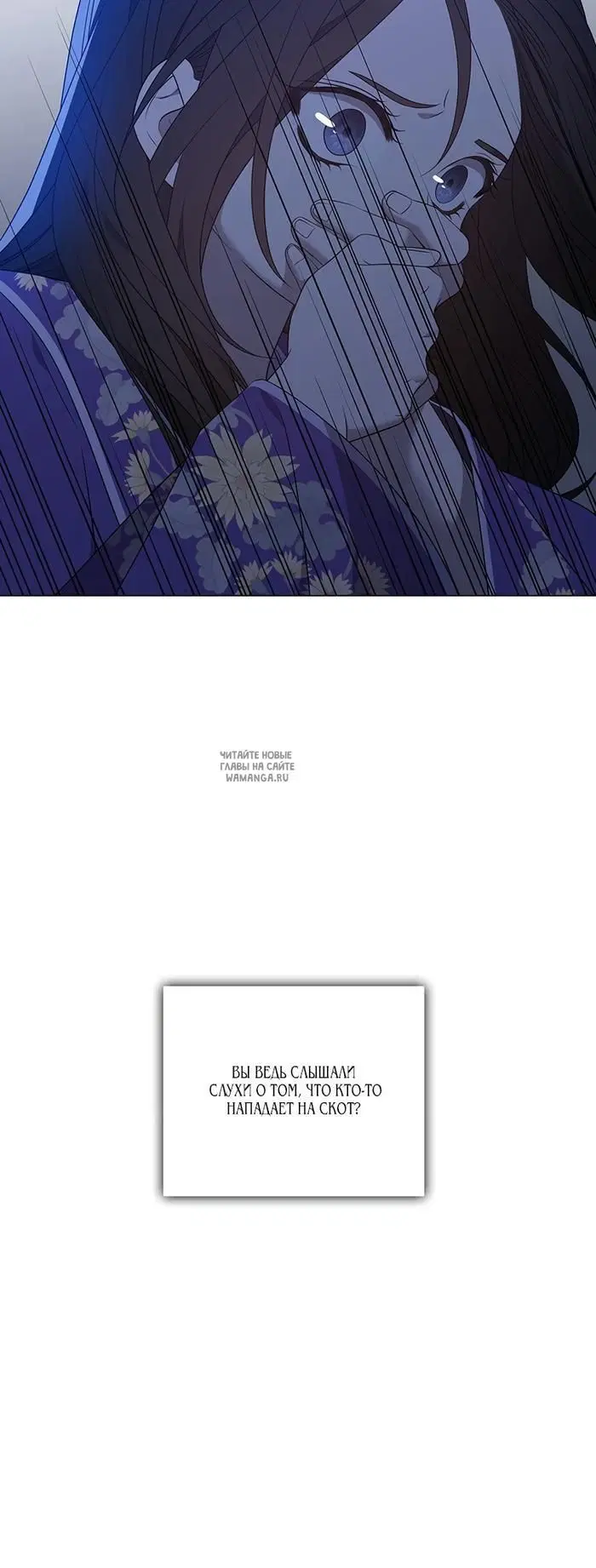 Page 40.000