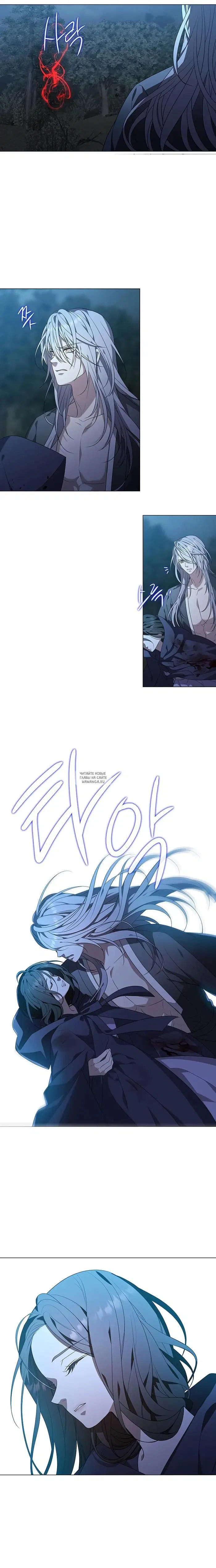 Page 8.000