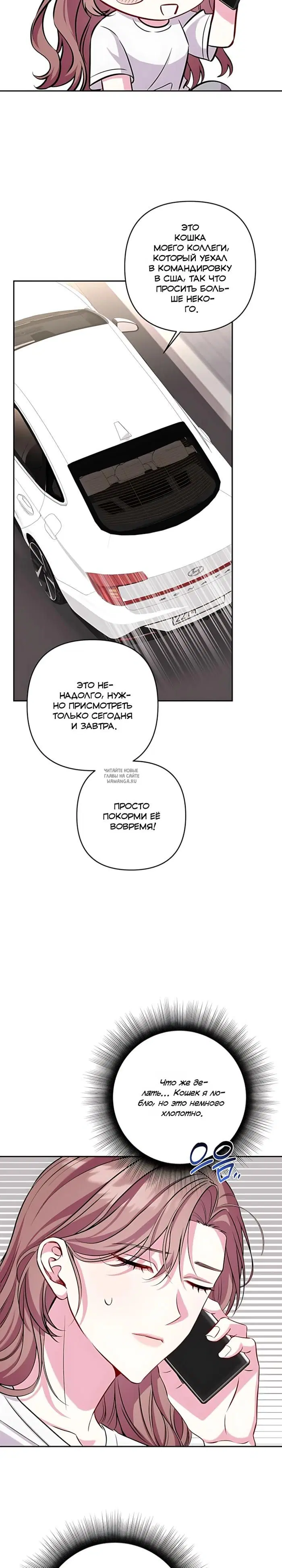 Page 20.000