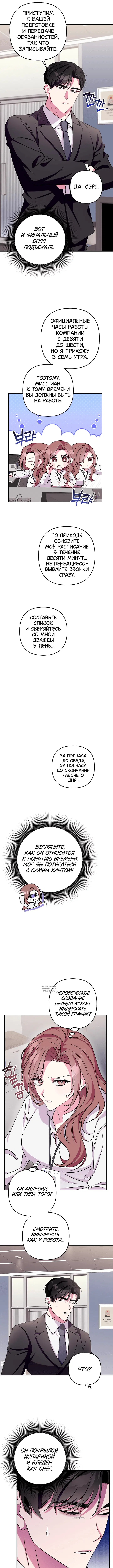 Page 8.000
