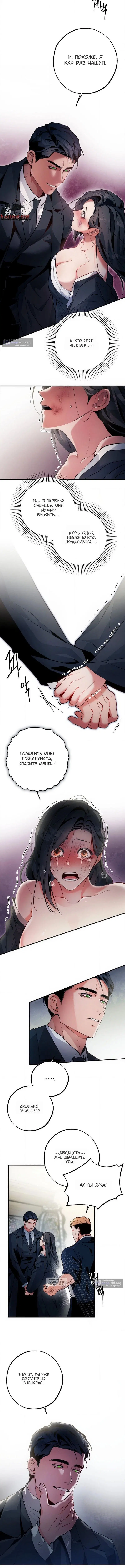 Page 5.000