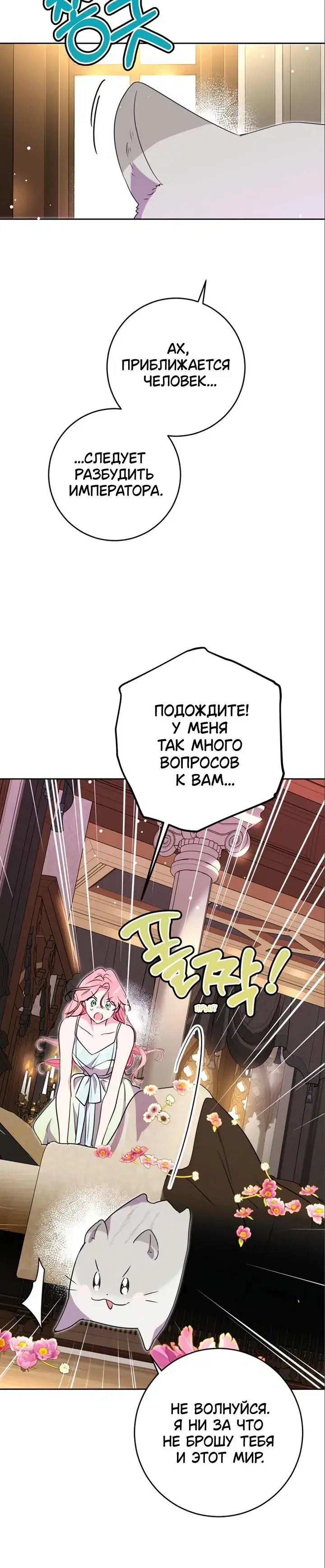 Page 6.001