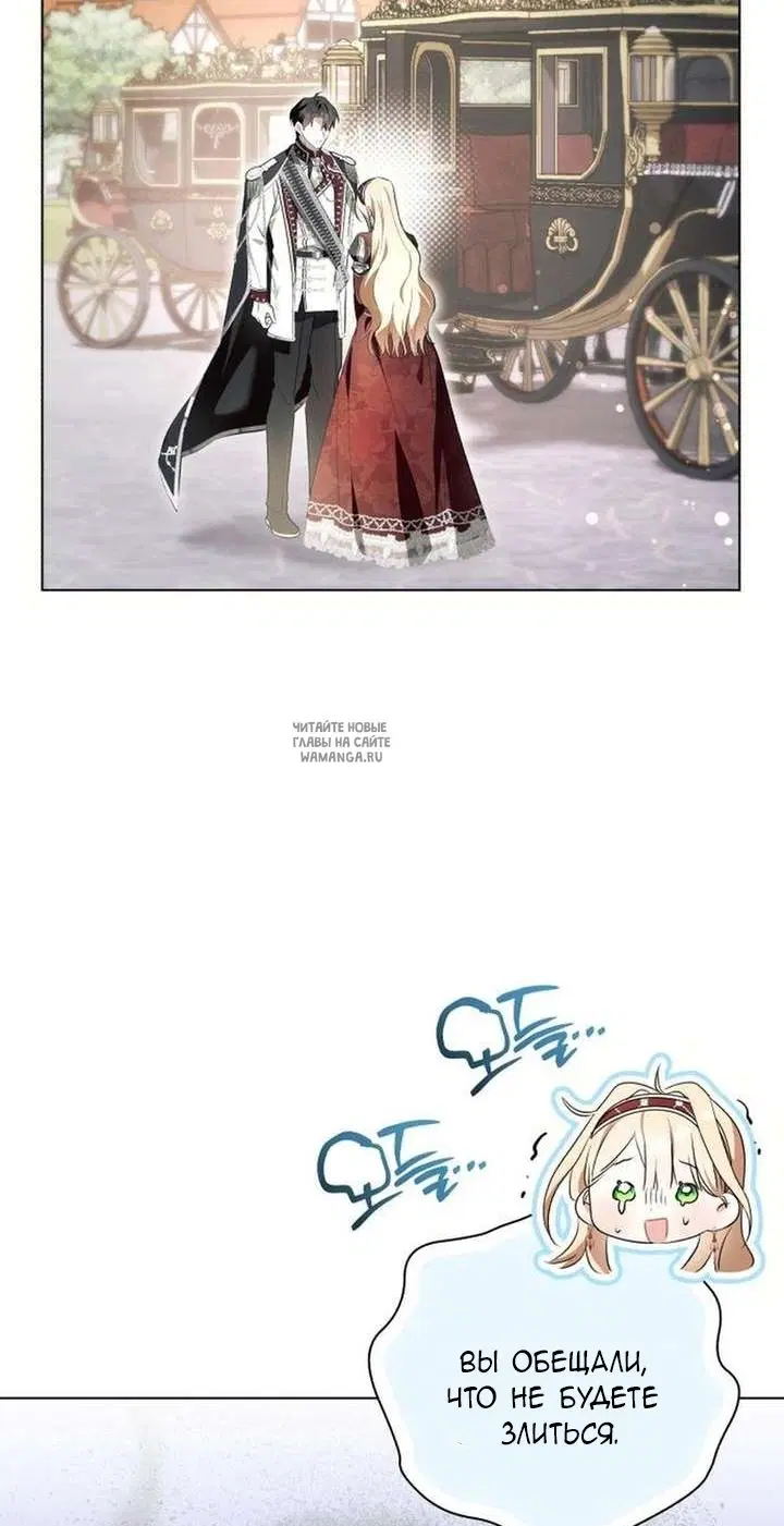 Page 42.000