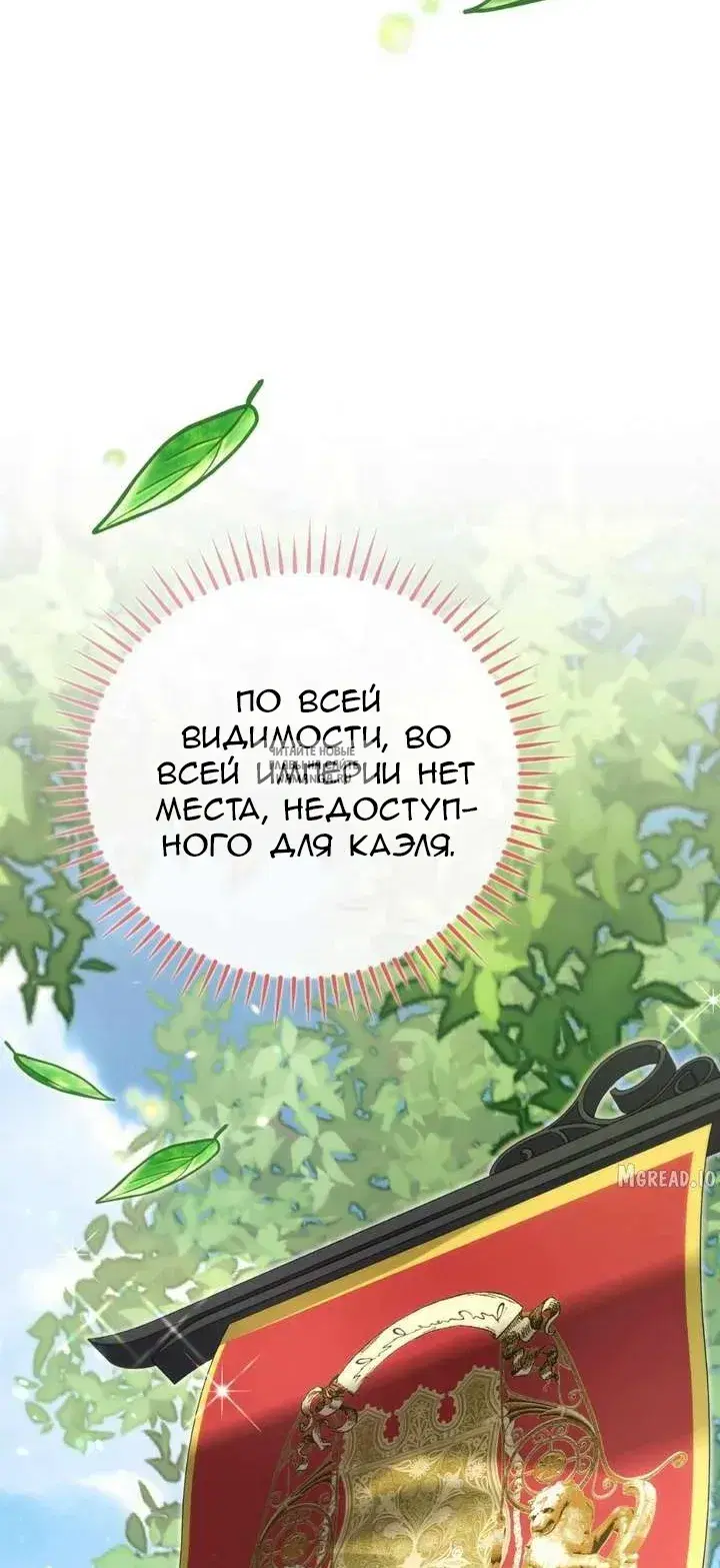 Page 51.000
